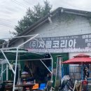 캠핑코리아 | 남양주 진접 캠핑 준비, 차콜코리아 장작·오로라 가루 구매 후기