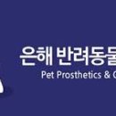 은해반려동물보조기 이미지