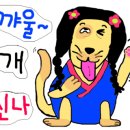 돈스마레 이미지