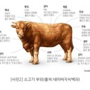 홍두깨 이미지