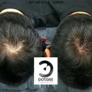 수원-2060 이미지