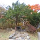 탑동석불 이미지