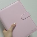 아인텍 | 신년 다이어리 추천 아인텍 블루밍 다이어리 프림로즈핑크
