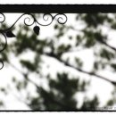 보불로펜션 이미지