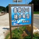 제309회차 포항 호미반도 해안둘레길(1~2코스)정기트레킹(11월11일(토) 이미지