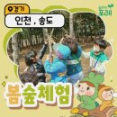 유아, 어린이 체험전기 <아이, 마이, 미, 마인> | 숲파티포레 인천대공원 송도센트럴파크 유아·초등 어린이 봄 숲체험 후기