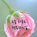 매 순간이 감사이고 은혜 입니다. 이미지