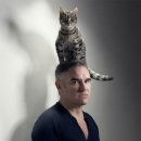 고양이 모자 이미지