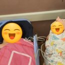 더올리비에르 이미지