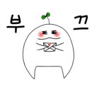 샌드블라썸 이미지