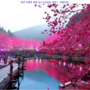 소망부동산중개사무소 이미지