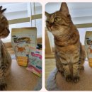 블루베이 이미지