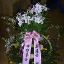 대양물류 이미지