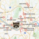 청광약국 | 뺑뺑이 안경 낀 두더지 탈출기 1️⃣ | 라섹후기, 콘트라비전라섹, 초고도근시, 병원찾기, 수술전과정, 라섹...