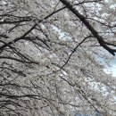 장유에너지 이미지