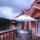 들국화 펜션 이미지