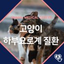 연성 동물병원 이미지