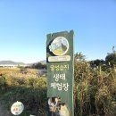 대명유수지 - 3898 | [대구 가볼만한곳] 달성습지 대명유수지 가을나들이