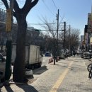 [ 메이크업 유유 드레스 피팅 ] 야외 웨딩스냅, 썬...촬영 드레스 사진 총 후기 (유색드레스, 블랙드레스)