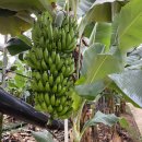 원규농장 이미지