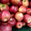 김한기 농장 이미지