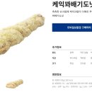 파리바게뜨송도 - 연수구 인천타워대로132번길 9 | 파리바게뜨송도