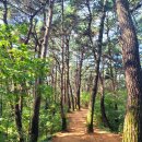 버스정류장 07-110 이미지