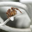 청궁루 | 대만 타이난 자유여행 시 추천하는 인기 호텔 순위 알아보기