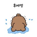 제인헤어 이미지