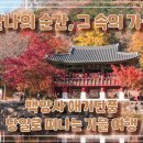 주원항공여행사 이미지