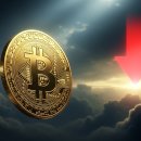 신화BTC