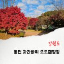 홍천강 자라바위 오토캠핑장 | 강원도 홍천 캠핑장 가성비 자라바위 오토캠핑장 명당 사이트 A01 예약 정보