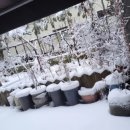 오포1동-4 이미지