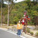 미조치과의원 이미지