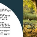 지중해아침 이미지