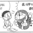 붐붐비어 이미지