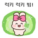 네일하이 이미지