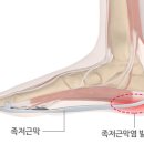 르베시필라테스