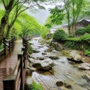 2026.8.16 제246차 건우산악회 경남 산청 대원사 계곡길 트래킹 공지의 건! 이미지