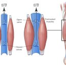 혜스테틱