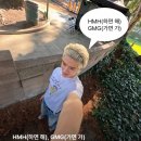 뿡뿡6