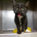 한얼동물병원 이미지