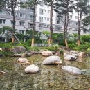 향동고등학교 이미지