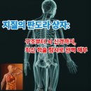 바이오코프(주) | 지질의 판도라 상자: 구조부터 뇌 신경까지, 최신 학술 탐사로 완벽 해부