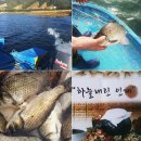 내장농장 이미지