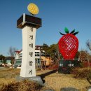 대평딸기 조형물 이미지