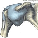 윤제한의원 | 오십견치료 ( 자동차사고보험치료)