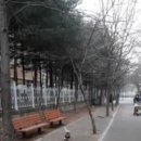 효원초교 이미지