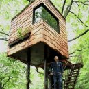 트리하우스 이미지