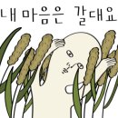카카오 이미지
